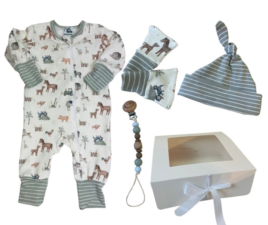 Panier-cadeau ensemble essentiels pour les sorties de bébé
