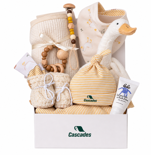 Pré-commande promo 5 paniers-cadeaux