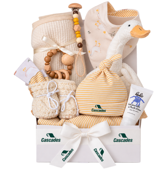 Pré-commande promo 10 paniers-cadeaux